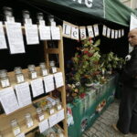 24.09.2017 Kielce. Piknik Polskich Lasów Państwowych "Dary Świętokrzyskich Lasów" / Jarosław Kubalski / Radio Kielce