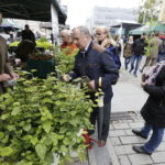 24.09.2017 Kielce. Piknik Polskich Lasów Państwowych "Dary Świętokrzyskich Lasów" / Jarosław Kubalski / Radio Kielce