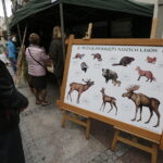 24.09.2017 Kielce. Piknik Polskich Lasów Państwowych "Dary Świętokrzyskich Lasów" / Jarosław Kubalski / Radio Kielce