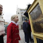 24.09.2017 Kielce. Piknik Polskich Lasów Państwowych "Dary Świętokrzyskich Lasów" / Jarosław Kubalski / Radio Kielce