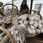 24.09.2017 Kielce. Piknik Polskich Lasów Państwowych "Dary Świętokrzyskich Lasów" / Jarosław Kubalski / Radio Kielce