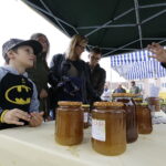 Świętokrzyskie Dni Miodu / Jarosław Kubalski / Radio Kielce