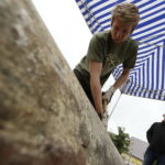 Świętokrzyskie Dni Miodu / Jarosław Kubalski / Radio Kielce