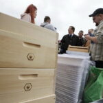 Świętokrzyskie Dni Miodu / Jarosław Kubalski / Radio Kielce