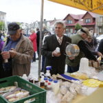 Świętokrzyskie Dni Miodu / Jarosław Kubalski / Radio Kielce