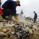 Impreza „W dzień Świętej Tekli ziemniaki będziem piekli” / Jarosław Kubalski / Radio Kielce