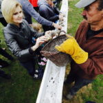 Impreza „W dzień Świętej Tekli ziemniaki będziem piekli” / Jarosław Kubalski / Radio Kielce