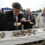 Impreza „W dzień Świętej Tekli ziemniaki będziem piekli” / Jarosław Kubalski / Radio Kielce