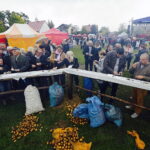 Impreza „W dzień Świętej Tekli ziemniaki będziem piekli” / Jarosław Kubalski / Radio Kielce