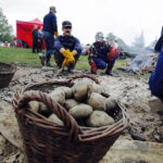 Impreza „W dzień Świętej Tekli ziemniaki będziem piekli” / Jarosław Kubalski / Radio Kielce