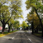 26.09.2017 Kielce. Ulica Jesionowa. Rozpoczyna się jej remont / Radio Kielce