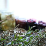 02.09.2017 Kielce. Spotkanie inaugurujące cykl wydarzeń "na Bodzentyńskiej" / Marzena Mąkosa - Radio Kielce / Zioła dodawane do potraw