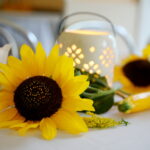 02.09.2017 Kielce. Spotkanie inaugurujące cykl wydarzeń "na Bodzentyńskiej" / Marzena Mąkosa - Radio Kielce / Spotkanie inaugurujące cykl wydarzeń "na Bodzentyńskiej"