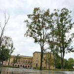 04.09.2017 Kielce. Drzewa przed WDK do wycięcia / Marzena Mąkosa - Radio Kielce / Drzewa przed WDK do wycięcia