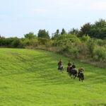 X Piknik Historyczny w Chęcinach / Marzena Mąkosa / Radio Kielce