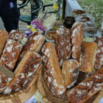 Dzień Chleba w Parku Etnograficznym w Tokarni / Marzena Mąkosa / Radio Kielce