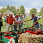 Dzień Chleba w Parku Etnograficznym w Tokarni / Marzena Mąkosa / Radio Kielce