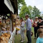 Dzień Chleba w Parku Etnograficznym w Tokarni / Marzena Mąkosa / Radio Kielce