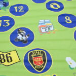 Dni Energetyki / Marzena Mąkosa / Radio Kielce