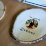 1017 urodziny dębu Bartka w Zagnańsku / Marzena Mąkosa / Radio Kielce