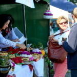 „PARAGEDON” – Festiwal aktywności ruchowej dla osób niepełnosprawnych / Marzena Mąkosa / Radio Kielce