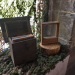 Wystawa w Muzeum Przyrody i Techniki. Ul wabik z XX w. oraz Ul weselny z XX w. / Marlena Płaska / Radio Kielce