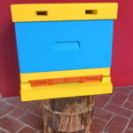 Wystawa w Muzeum Przyrody i Techniki. Ul wielkopolski styropianowy / Marlena Płaska / Radio Kielce