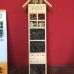 Wystawa w Muzeum Przyrody i Techniki / Marlena Płaska / Radio Kielce