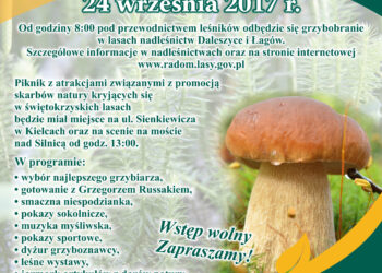 Radio Kielce