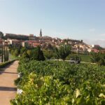 Hiszpania. Rioja / Grażyna Woźniczka - Bogucka