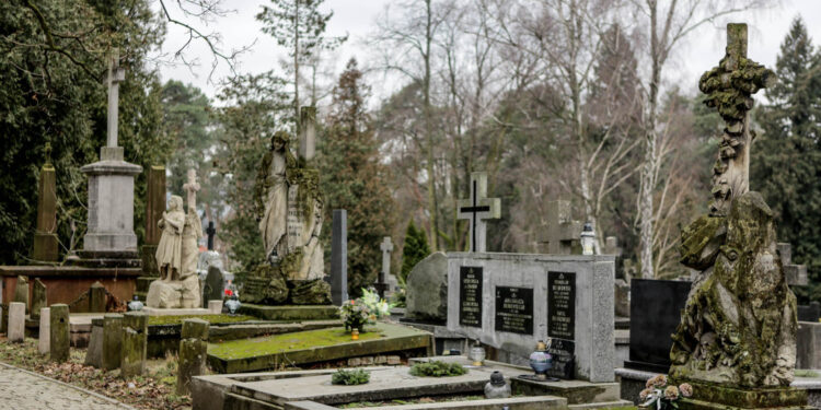 Cmentarz Stary w Kielcach / Wojciech Habdas / Radio Kielce
