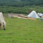 Północna Norwegia / Elżbieta Nowak / Radio Kielce