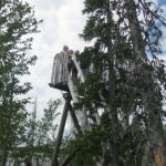 Muzyczne Podróże Przez Świat. Finlandia / Elżbieta Nowak