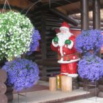 Finlandia / Elżbieta Nowak / Radio Kielce