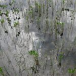 Finlandia / Elżbieta Nowak / Radio Kielce