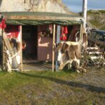 Finlandia / Elżbieta Nowak / Radio Kielce