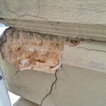 Remont budynku Kurii Diecezjalnej / ks. Paweł Tkaczyk / Kuria Diecezjalna