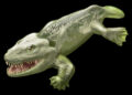 Tetrapod w okolicach Morawicy? - Radio Kielce Tetrapod / nationalgeographic.com