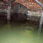 Nowy Korczyn. Zabytkowy Dom Długosza popada w ruinę / Kamil Włosowicz / Radio Kielce