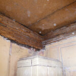 Nowy Korczyn. Zabytkowy Dom Długosza popada w ruinę / Kamil Włosowicz / Radio Kielce