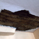 Nowy Korczyn. Zabytkowy Dom Długosza popada w ruinę / Kamil Włosowicz / Radio Kielce