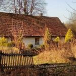 Złota polska w jesień w obiektywie słuchaczy Radia Kielce / Radio Kielce