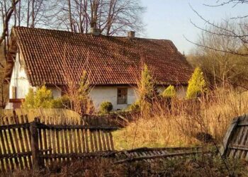 Złota polska w jesień w obiektywie słuchaczy Radia Kielce / Radio Kielce