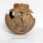 Sadowie koło Opatowa, ślady cmentarzyska z późnego neolitu. Gliniane naczynie - wyposażenie grobu / Wojciech Pasterkiewicz