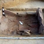 Sadowie koło Opatowa, ślady cmentarzyska z późnego neolitu. Grób skrzynkowy (ludzki) kultury amfor kulistych / Wojciech Pasterkiewicz