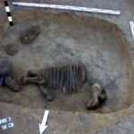 Sadowie koło Opatowa, ślady cmentarzyska z późnego neolitu. Grób zwierzęcy kultury amfor kulistych / Wojciech Pasterkiewicz