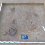 Sadowie koło Opatowa, ślady cmentarzyska z późnego neolitu. Grób zwierzęcy kultury amfor kulistych / Wojciech Pasterkiewicz