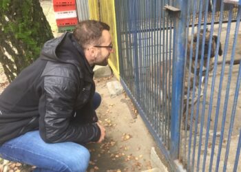 Piłkarz ręczny PGE Vive Kielce Mariusz Jurkiewicz odwiedził schronisko dla bezdomnych zwierząt w Dyminach / Marek Cender / Radio Kielce