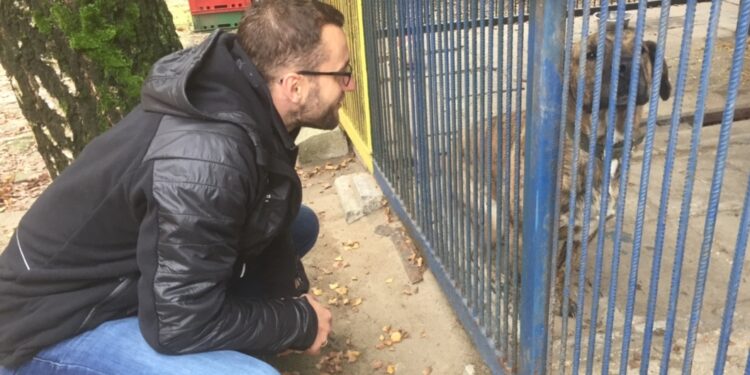 Piłkarz ręczny PGE Vive Kielce Mariusz Jurkiewicz odwiedził schronisko dla bezdomnych zwierząt w Dyminach / Marek Cender / Radio Kielce
