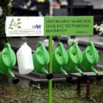 Kielce. Rozpoczęły się przygotowania na kieleckich cmentarzach do Dnia Wszystkich Świętych. Konewki / Jarosław Kubalski / Radio Kielce